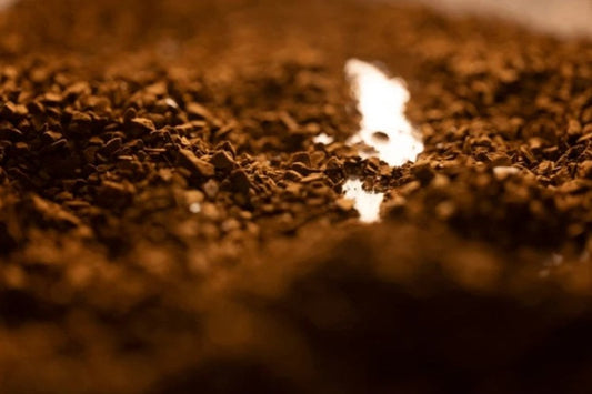 Instant Coffee Powder or Granules/Agglomerated — Which One Is Right for Your Business?